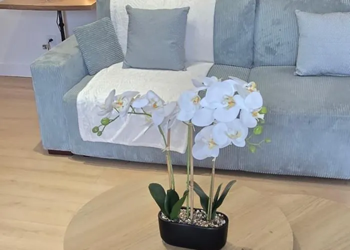 Le Charme Du Sanctuaire 8 Couchages 400m De La Grotte